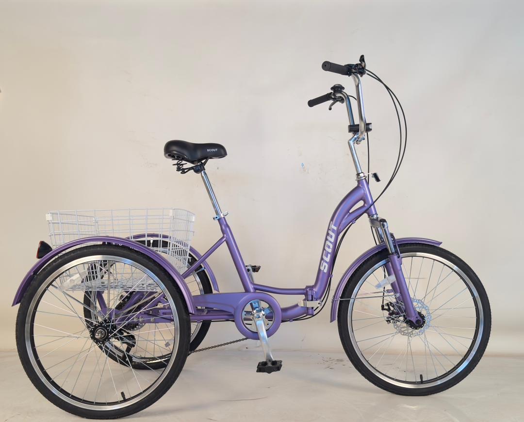 Buytricycle online