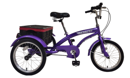 purple kids trike